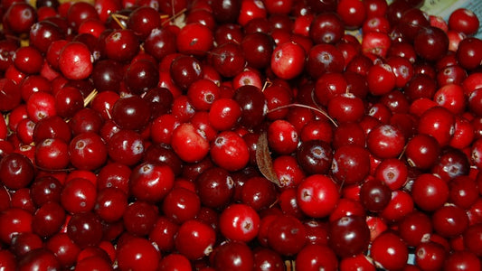 Cranberry and UTI. What's the connection?