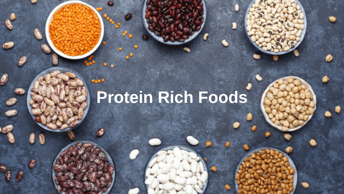 Protein rich foods| Foods that contain protein – andMe