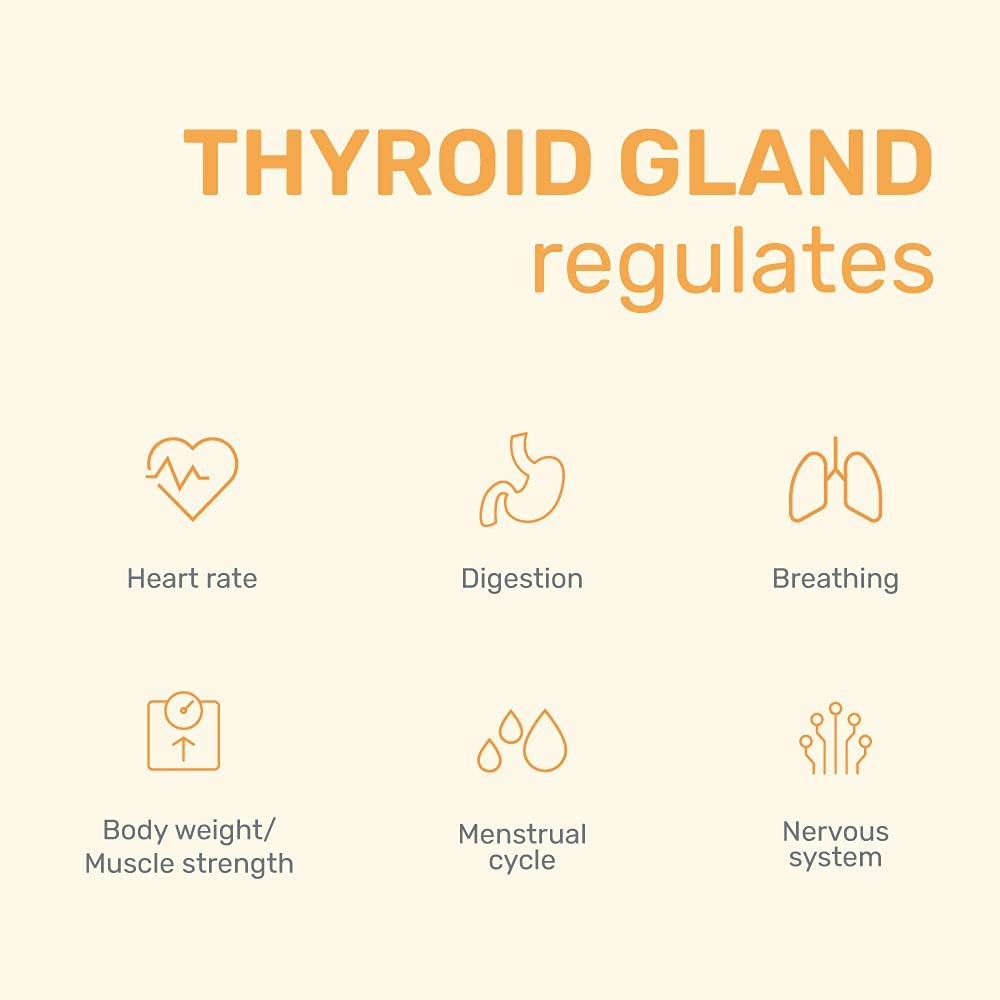 andMe Thyroid Tea for Hypothyroidism- Restore healthy T3, T4 levels